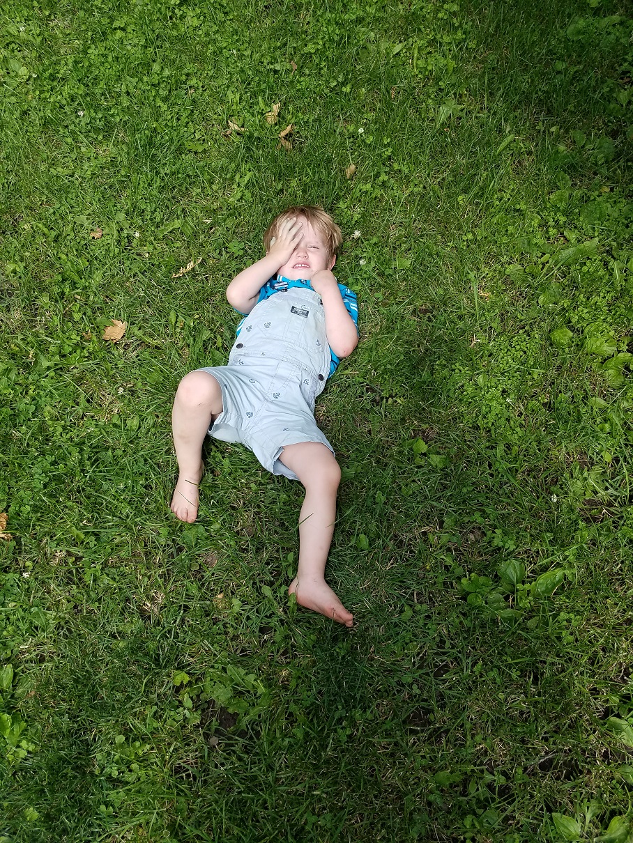 Oliver in the grass